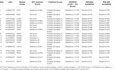 Identification and in silico Characterization of Deleterious Single Nucleotide Variations in Human ZP2 Gene